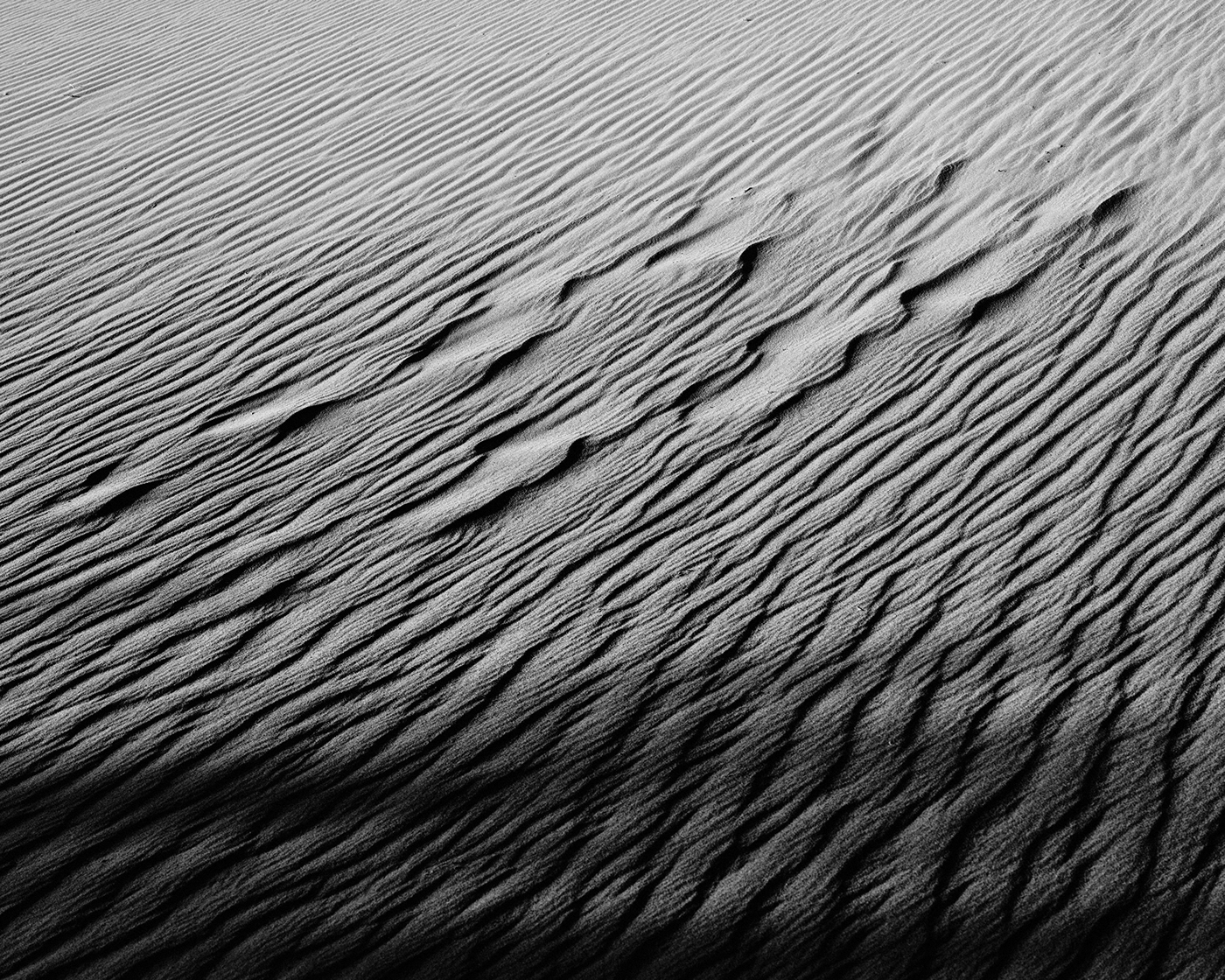 black and white desert dunes earth fine art Landscape Nature Photography  planet Space 