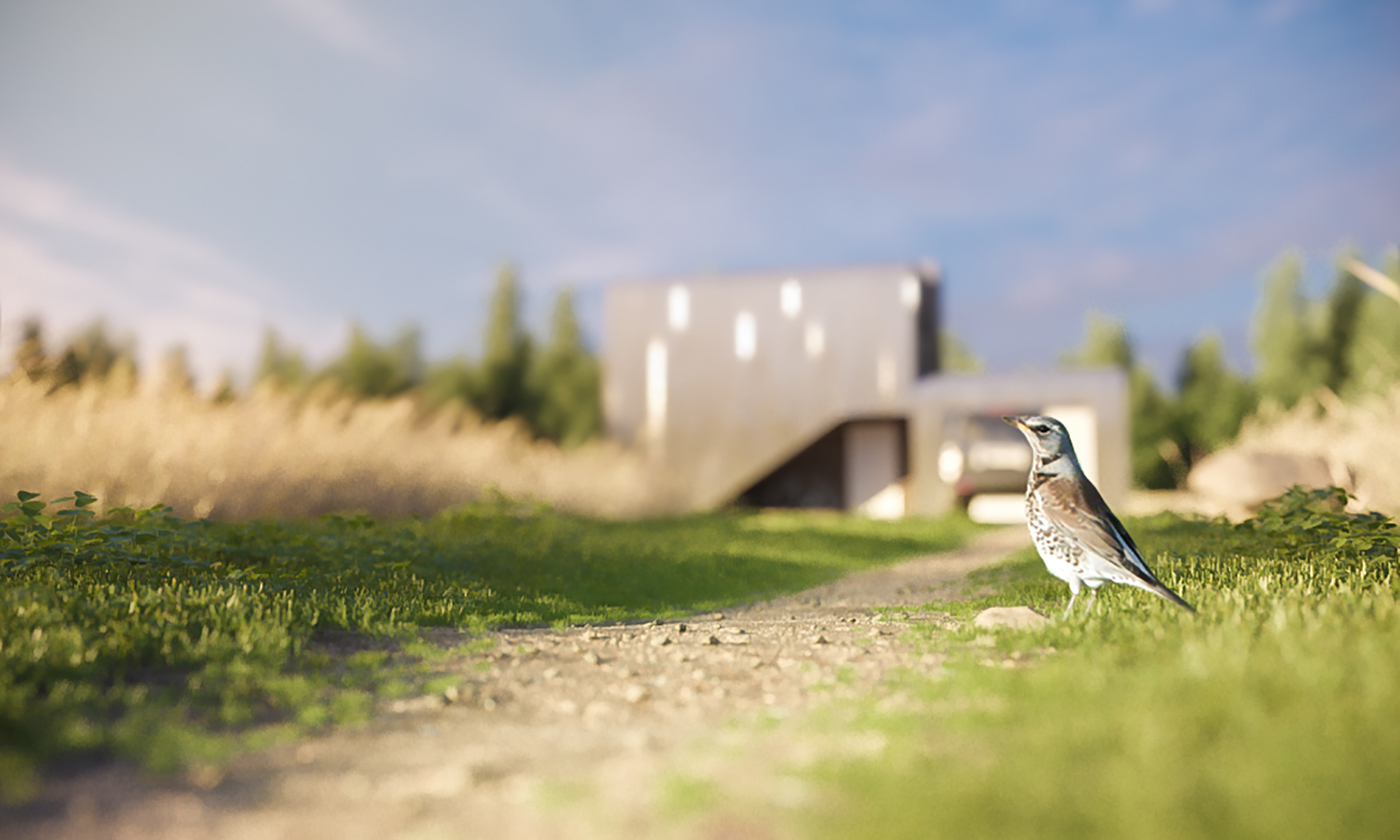 Tiny compact house visualization exterior 3ds max vray fieldfare field sunset 3D photoshop visual Carlo Box Studio