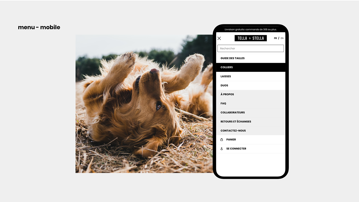 design dog interaction UI ux Web Website