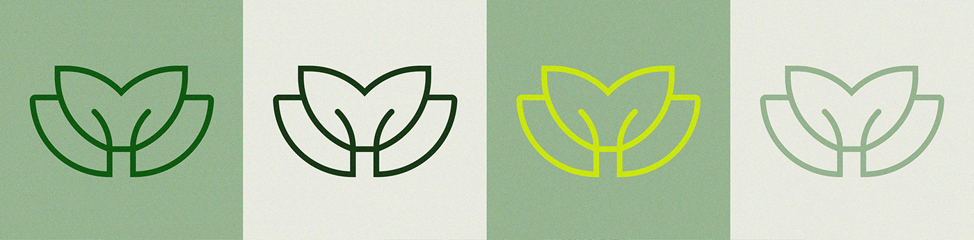 design graphic design  brand identity logo Logo Design visual identity brand identity Flowers
