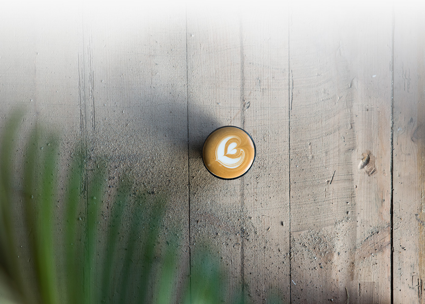 branding  Coffee barista Web print retouch Photography  logo natural identity
