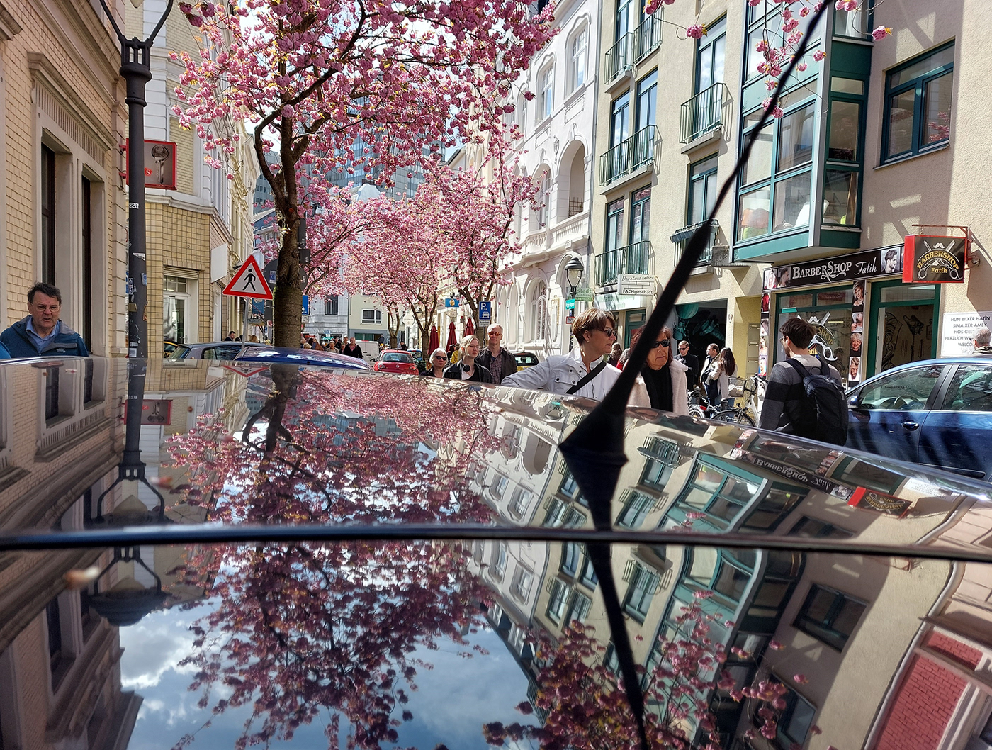cherry Cherry Blossom city people Photography  pink reflectionphotography spring street life photography strretphotography
