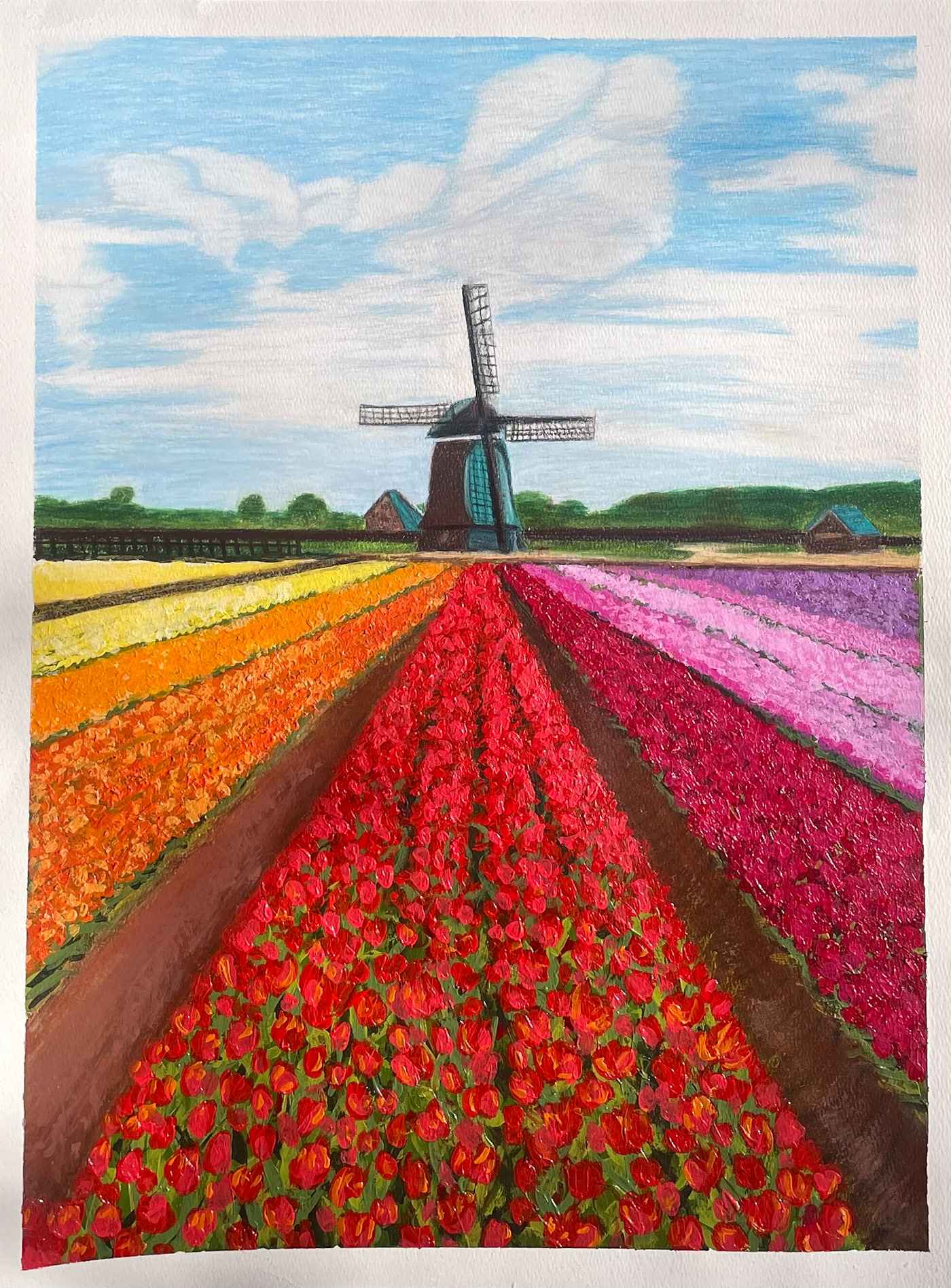 Acrylic paint art painting   Drawing  color bright colors flower field flower field painting prismacolor pencil