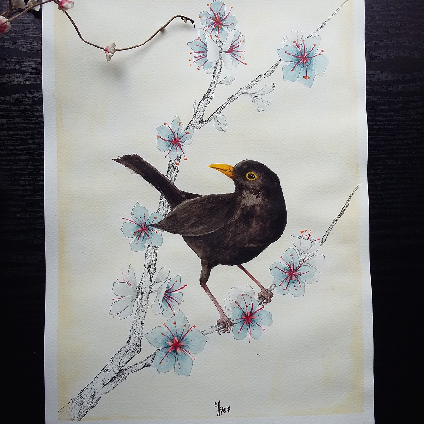ILLUSTRATION  Drawing  painting   sketch blackbird acrylics Nature bird birds Flowers
