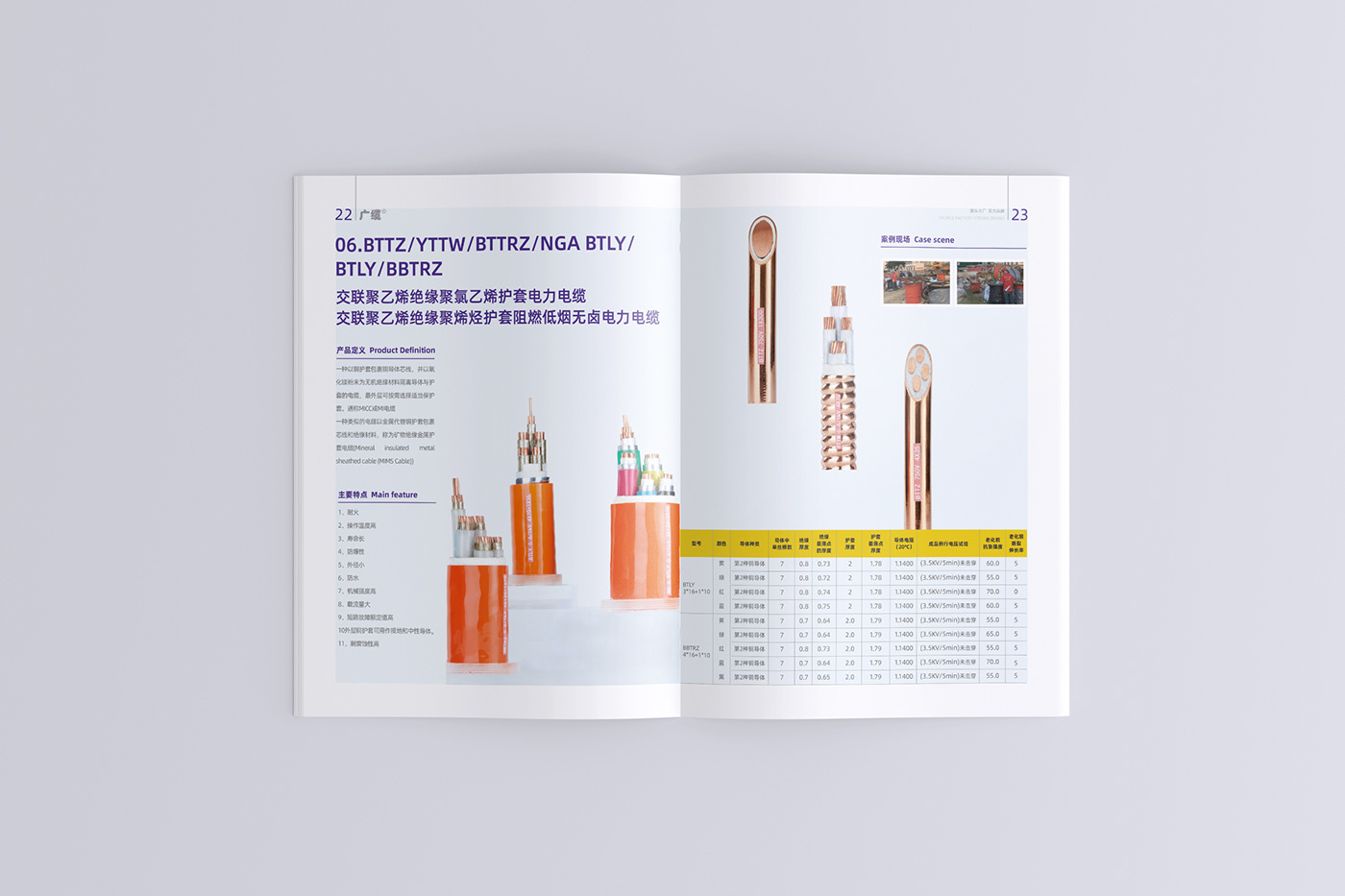 graphic 产品手册 关键要素设计 品牌画册 平面设计 排版 版式设计 画册设计，宣传册设计， 视觉设计