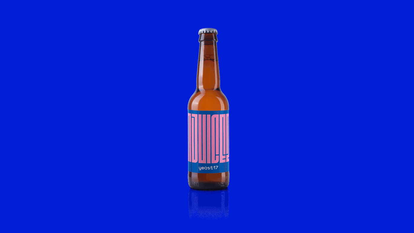 Packaging Label beer branding  Playful bold ironic paper graphic design  custom typography