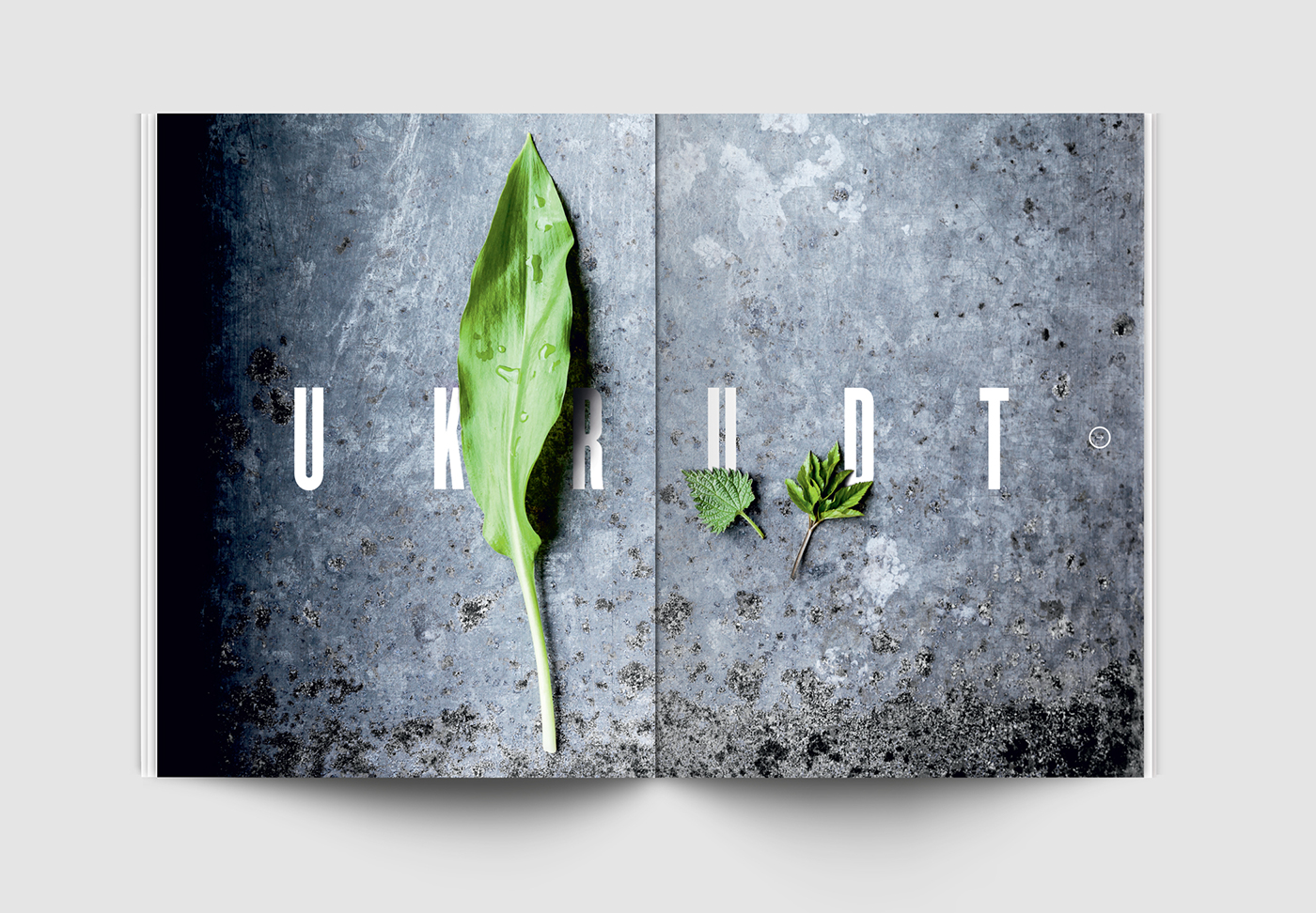 magazine Food  Layout editorial foodie