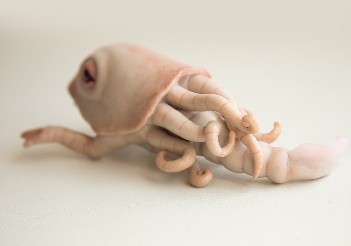 Character design  cthulhu deep sea fantasy Ocean octopus sea Squid tentacles underwater