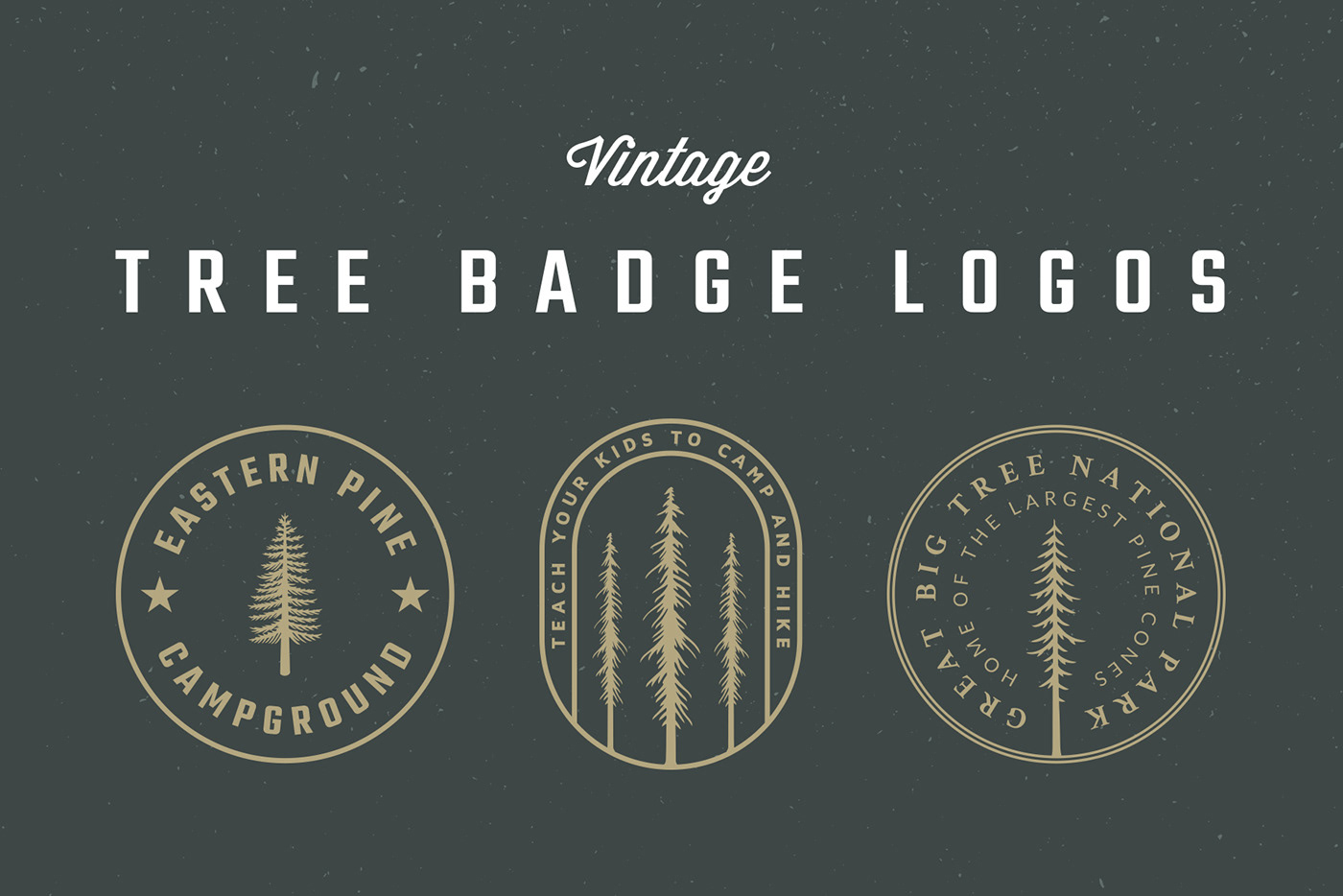 trees badge logos Nature outdoors National Park Travel rustic handmade handdrawn