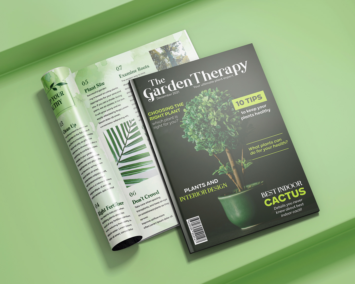garden green InDesign magazine minimal modern Nature plants