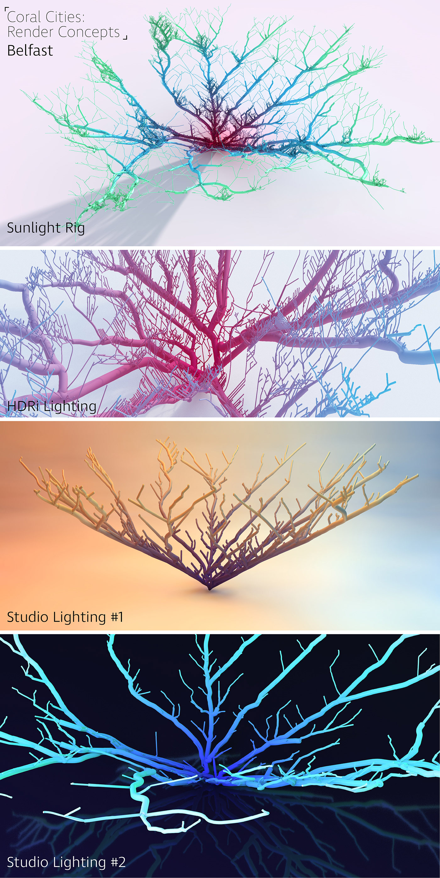 Data animation  dataviz maps Cities coral design visualisation conceptual Analysis