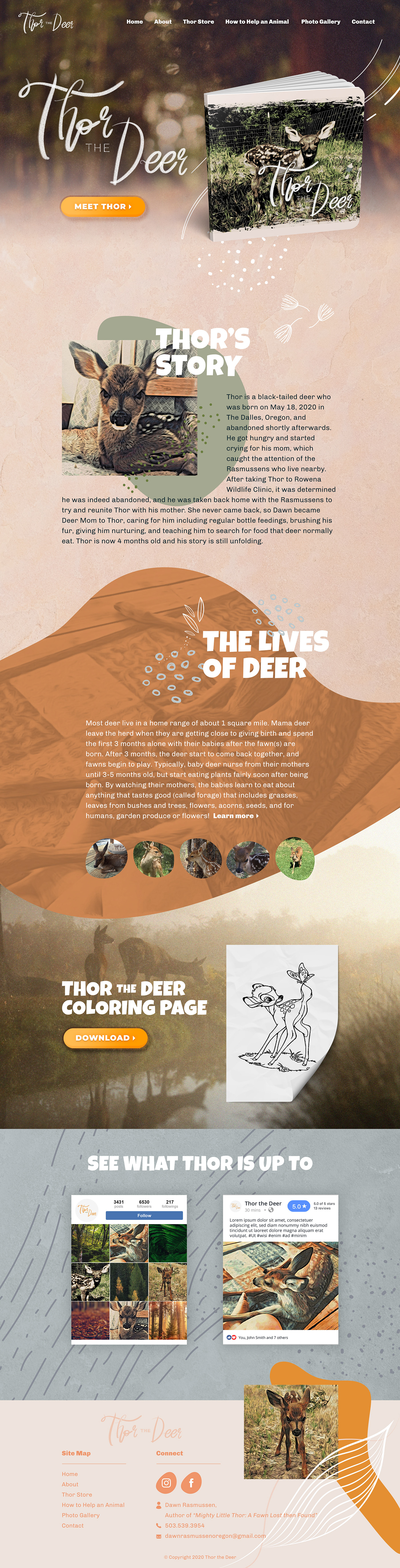 book book cover book design children's book deer ILLUSTRATION  Layout publishing  