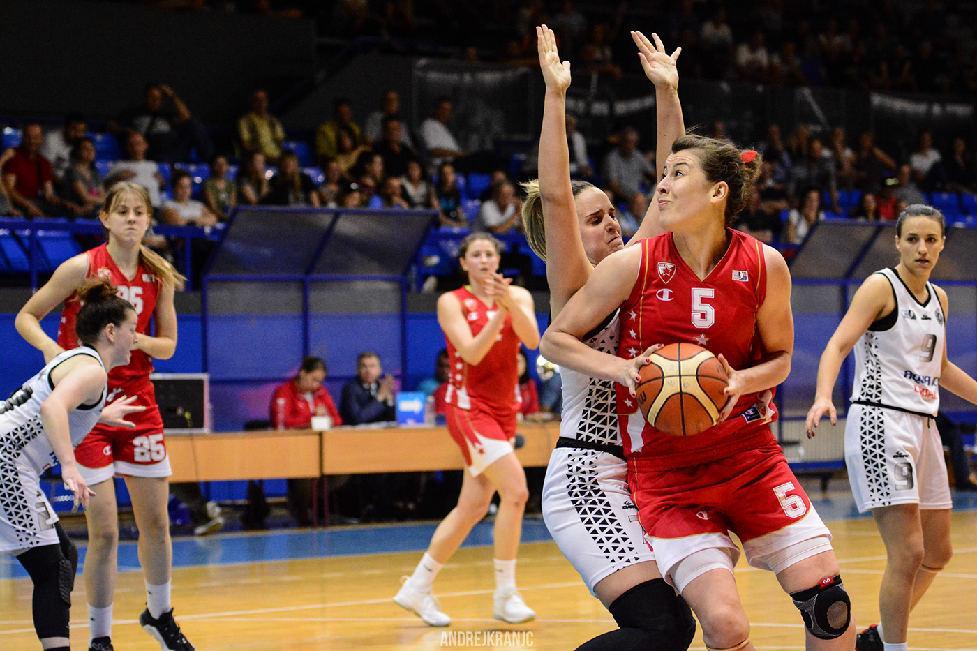 crvena zvezda Partizan basketball women zkls kls Serbia Champions
