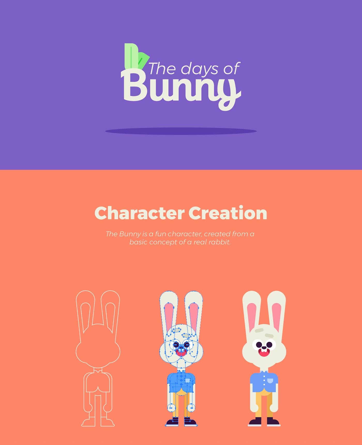 ILLUSTRATION  rabbit animation  motion design Character characterdesign gif