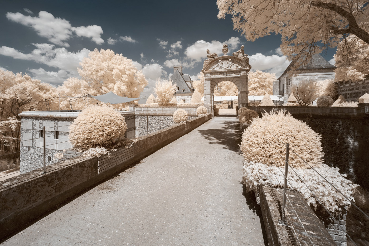 Castle dream fairy fantasy infrared infrared photography monument Nature surreal