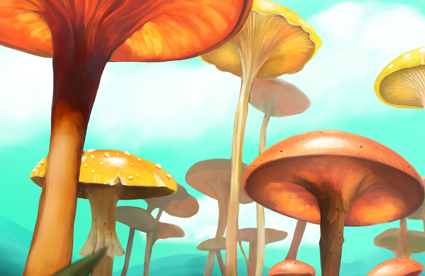 mushroom Magic   Landscape concept digital ILLUSTRATION 