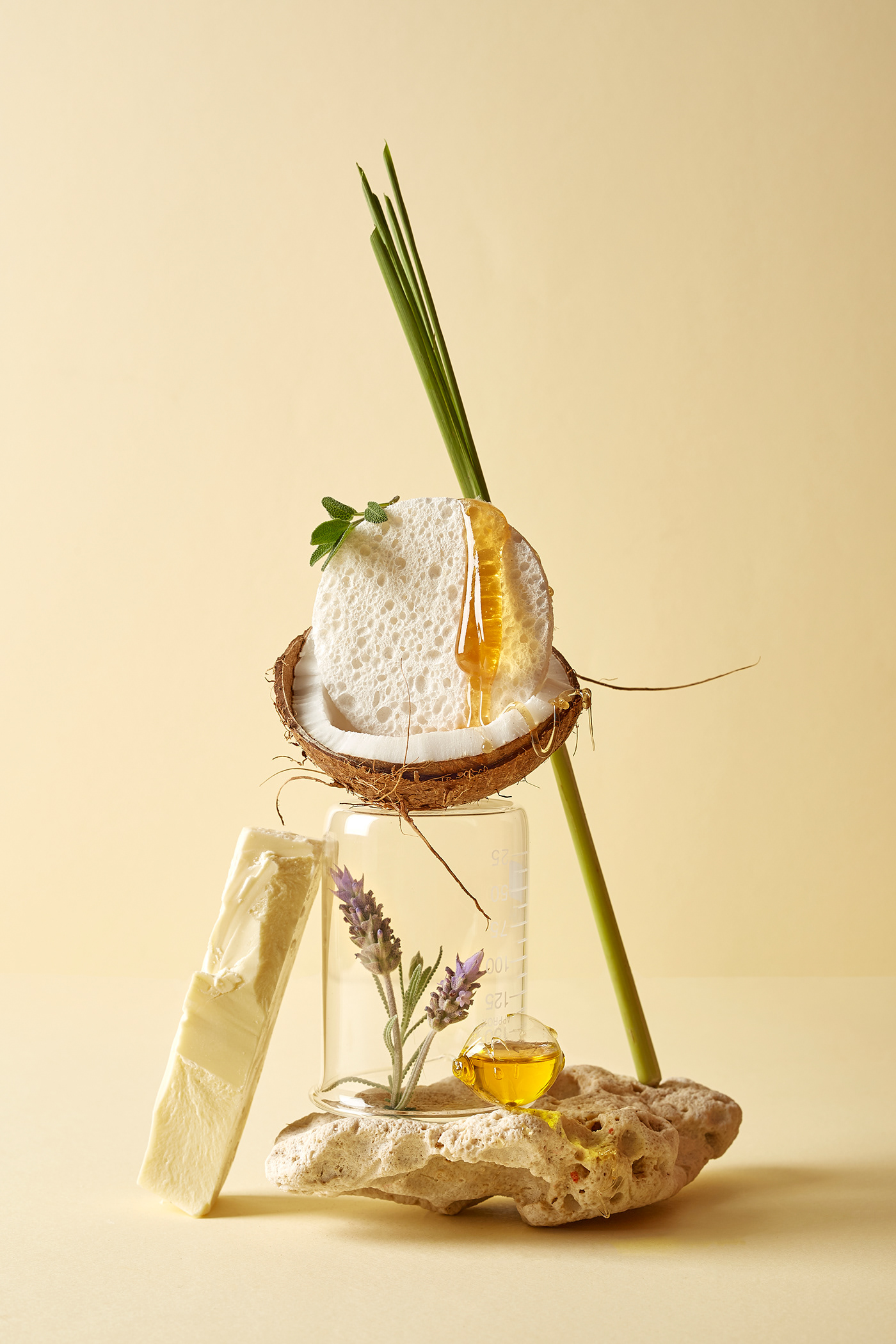Coconut still life honey sculpture stone oil composition conceptual lemongrass lavender