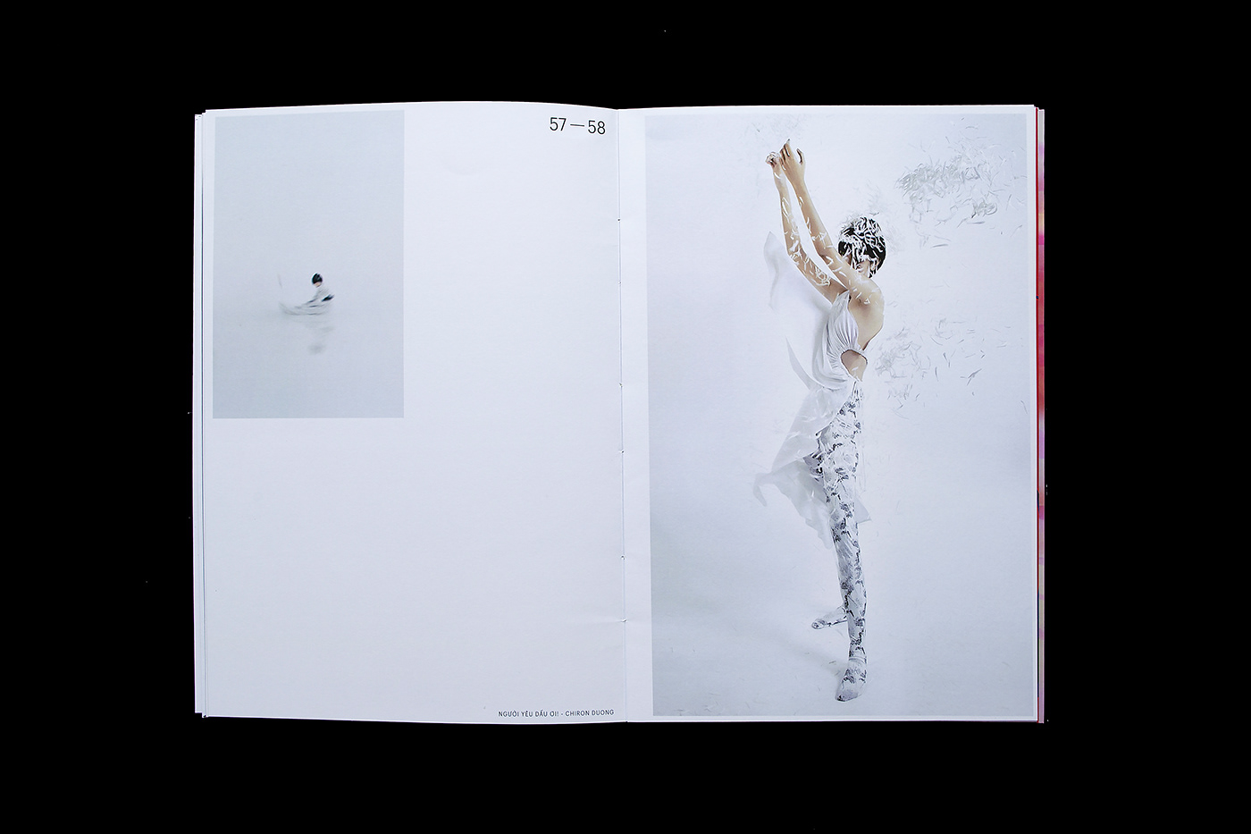 art colorful concept graphic Layout photobook