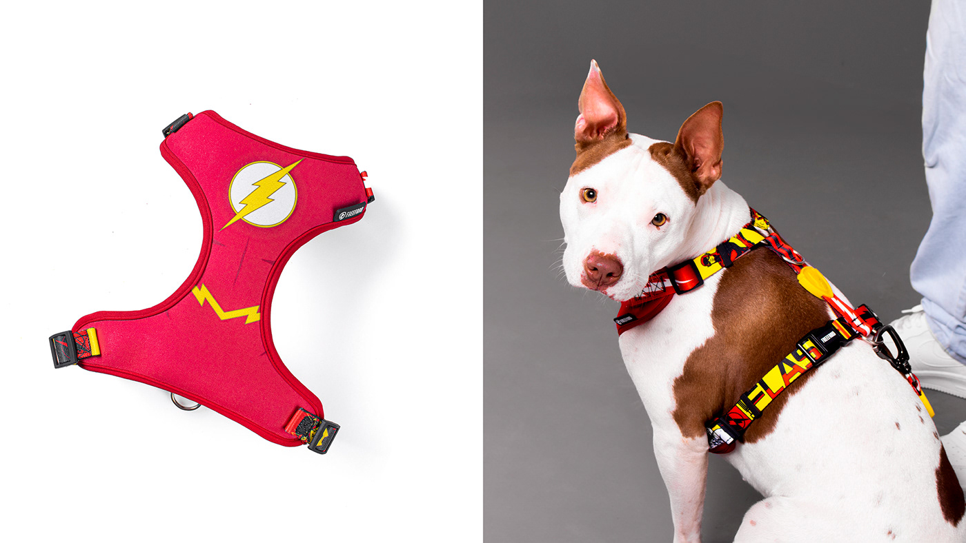 Dc Comics SuperHero photoshot dog animal Style Photography  dc feshion The Flash