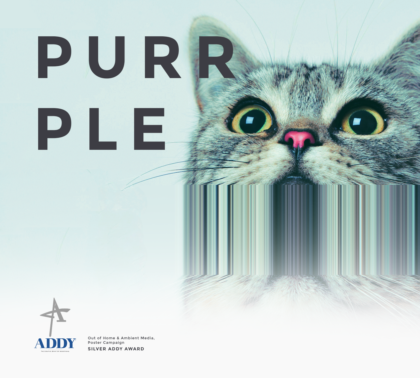 purrple Music Branding band cats Cat design catnip chipped I'm wet Album cd