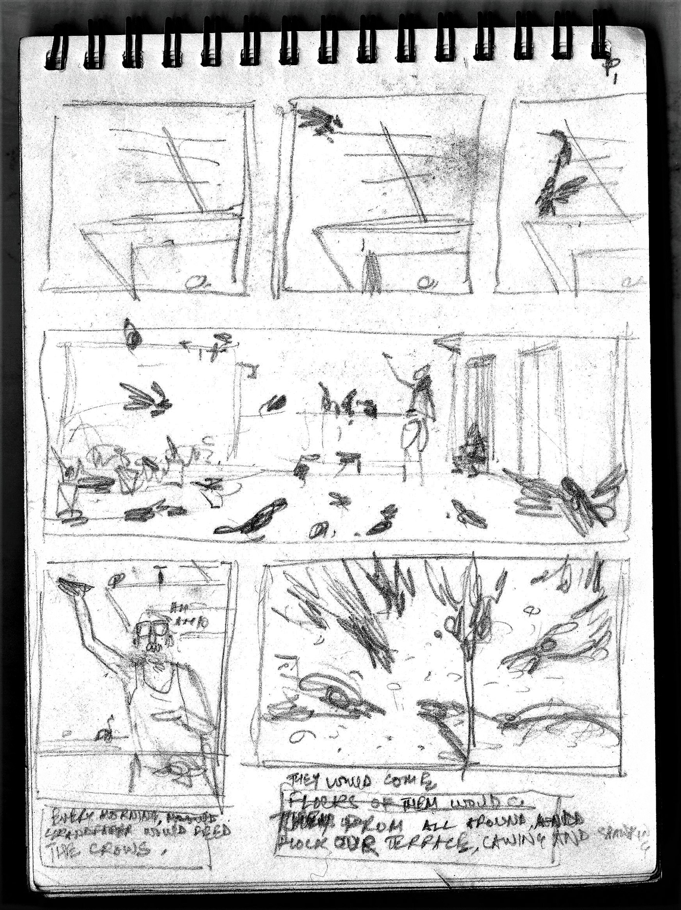 comics Graphic Novel black and white crows fear boy ornithophobia