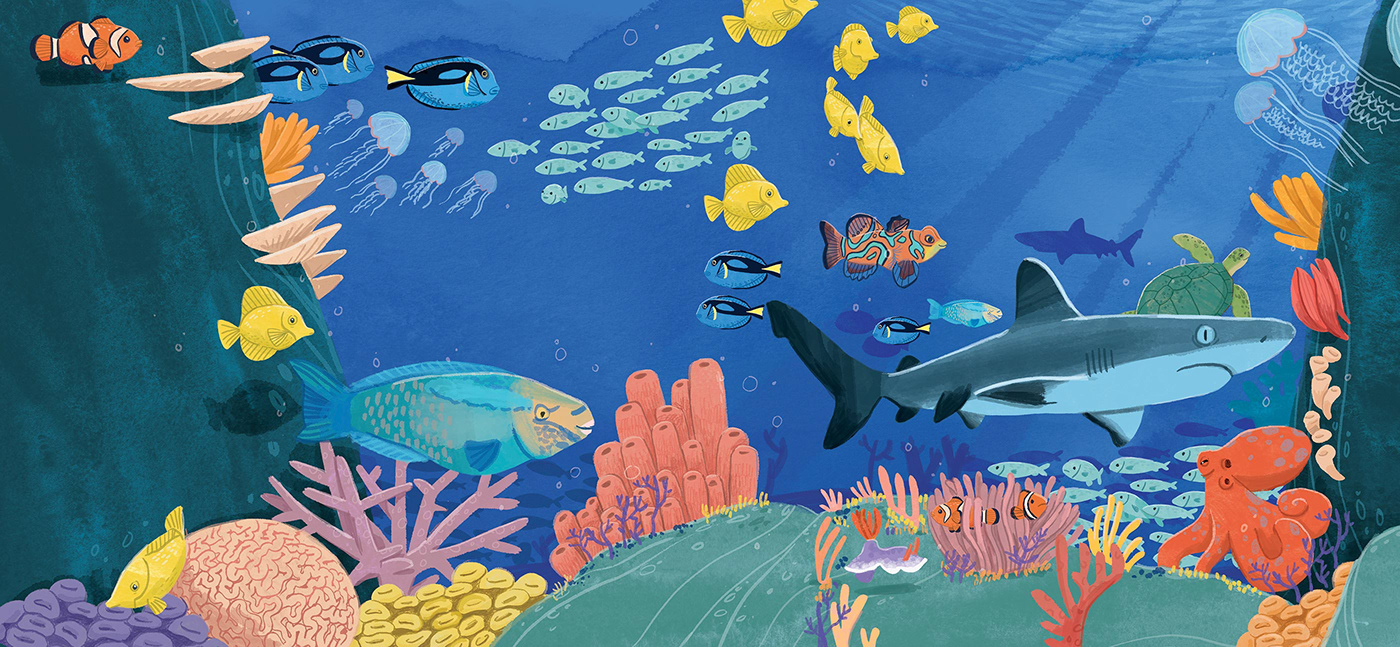 Ocean rainforest jungle fish shark children's book Picture book children illustration ILLUSTRATION  science