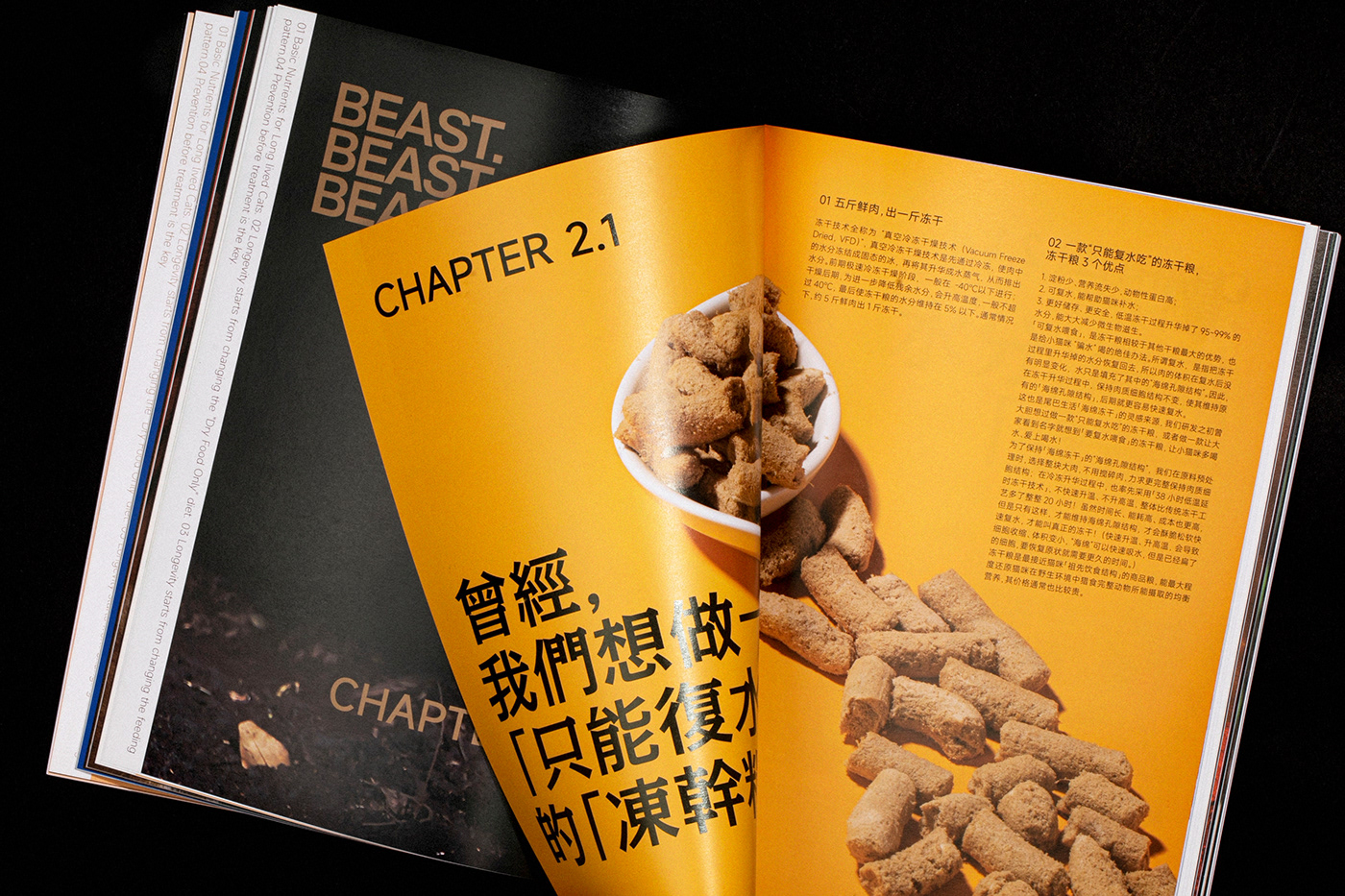 book book design Cat magazine Magazine design Photography  visual identity brand identity identity text