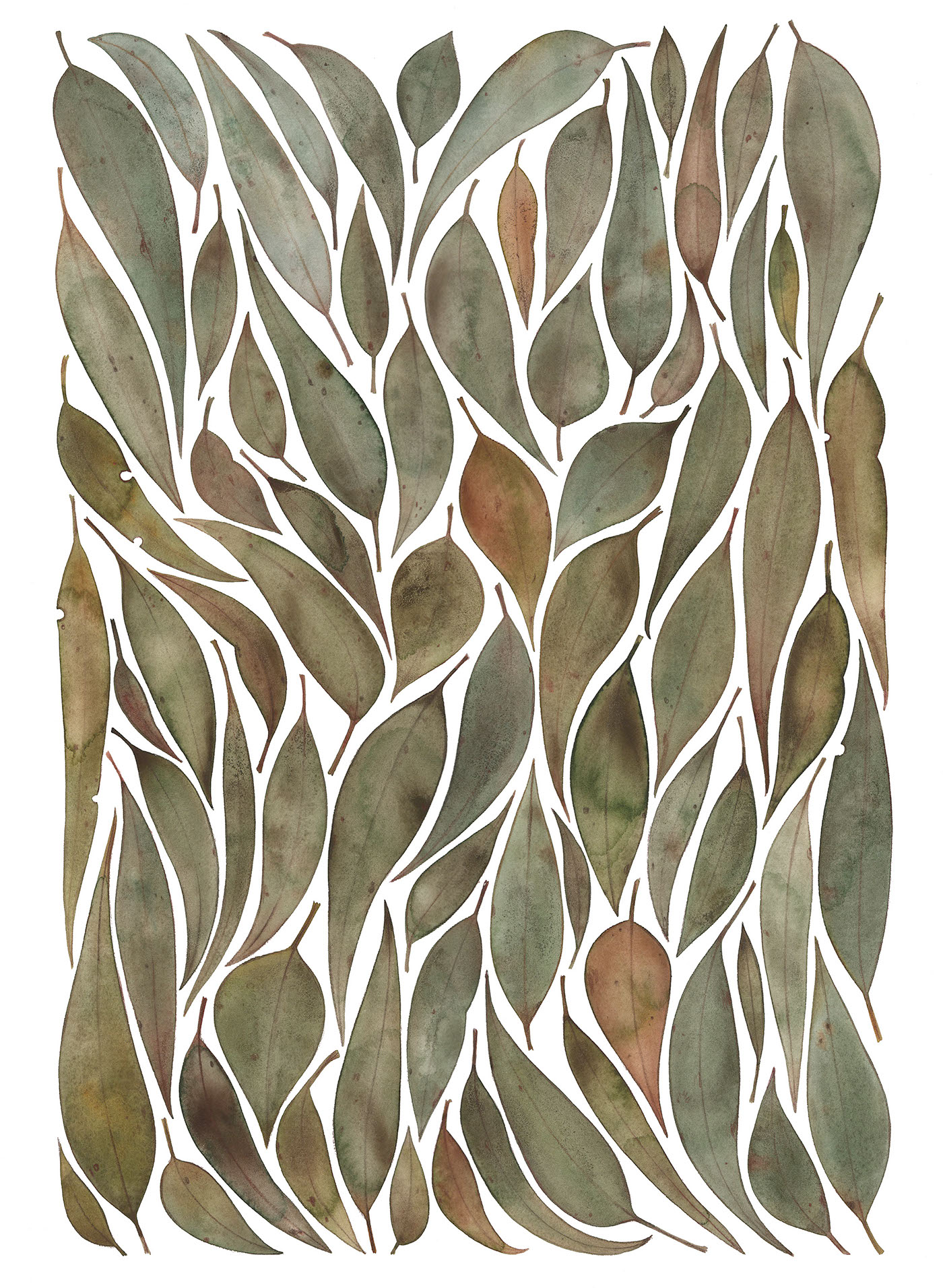 eucalyptus watercolour giclee Gum Leaves  flowing ILLUSTRATION  botanical