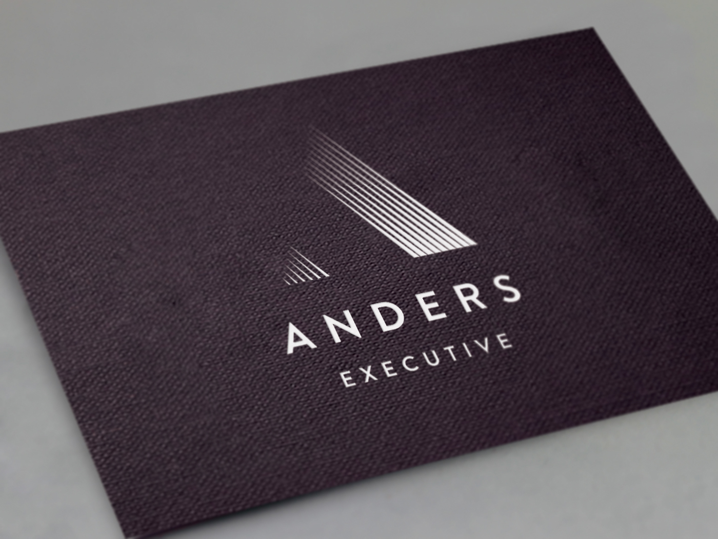 Anders Executive Anders Executive Branding Recruitment Branding recruitment recruitment logo recruitment website executive branding Logo and website