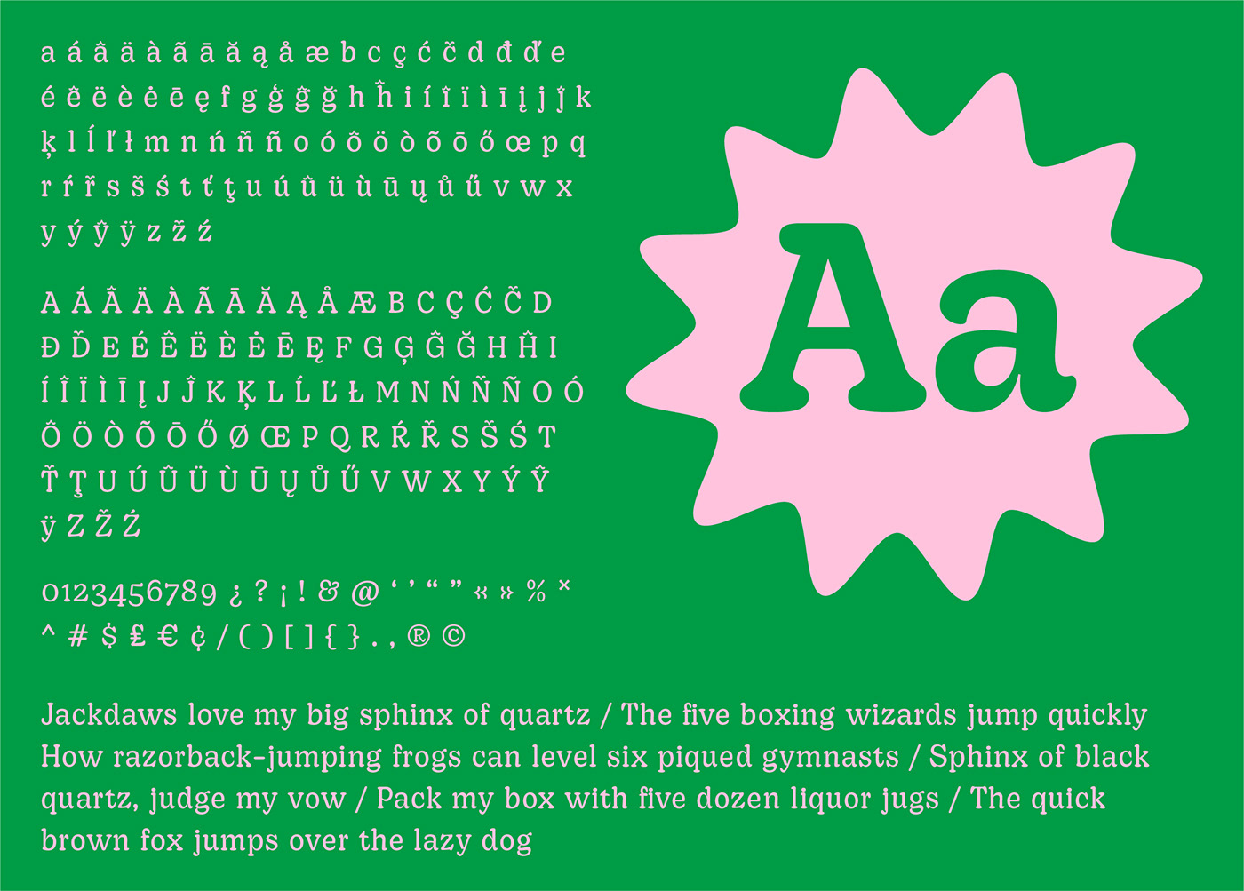 study Typeface typography   specimen font