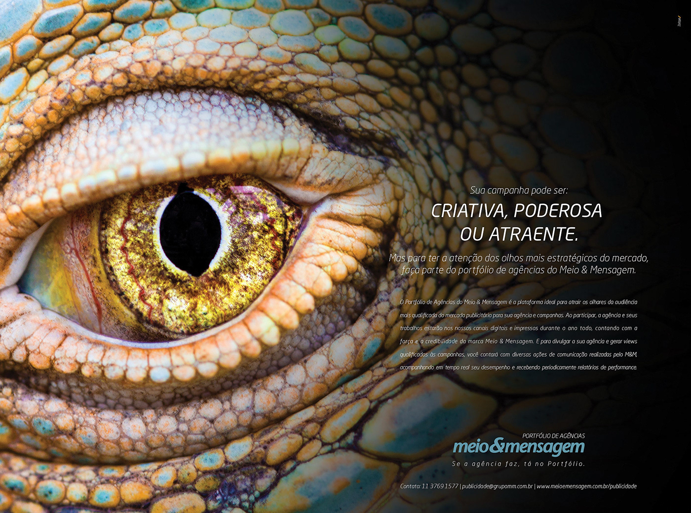 Advertisign Creative Direction  Art Director campanha publicitária publicidade Direção de arte design gráfico Meio & Mensagem