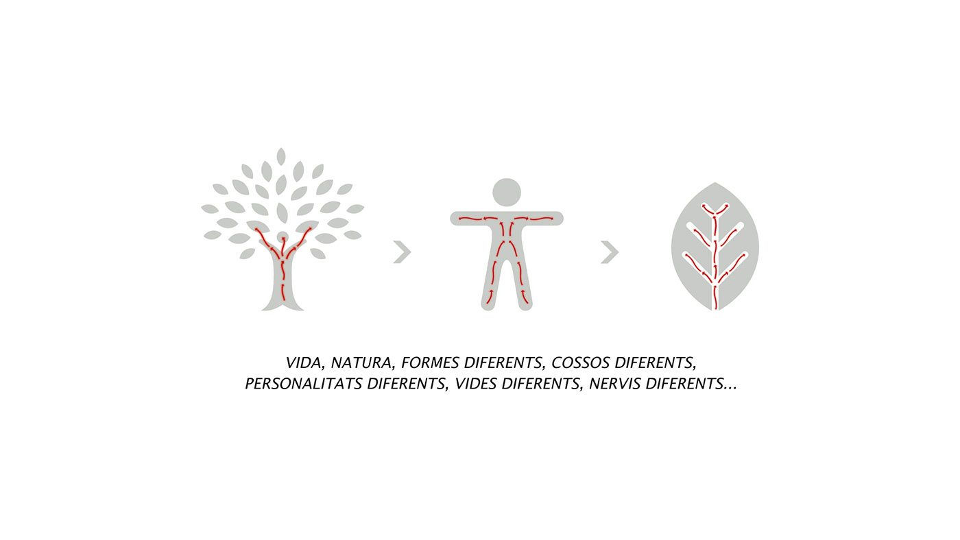 branding  Corporate Identity Identidad Corporativa Logo Design Nature inspiration Osteopathy visual identity
