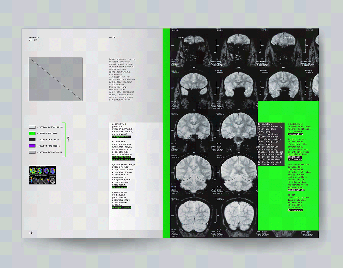 neurolinguistics Neuroscience brain connectome neurons layouts Online course motiongraphics graphic design  Education