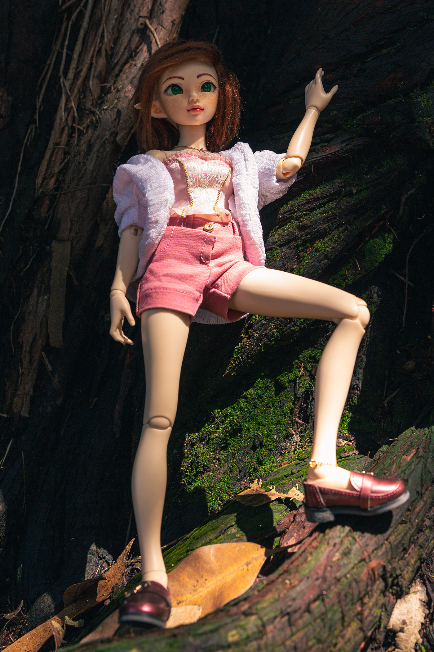 "Doll Collector" "Doll Photography" "Fashion Doll" bjd Boneca doll portrait retrato