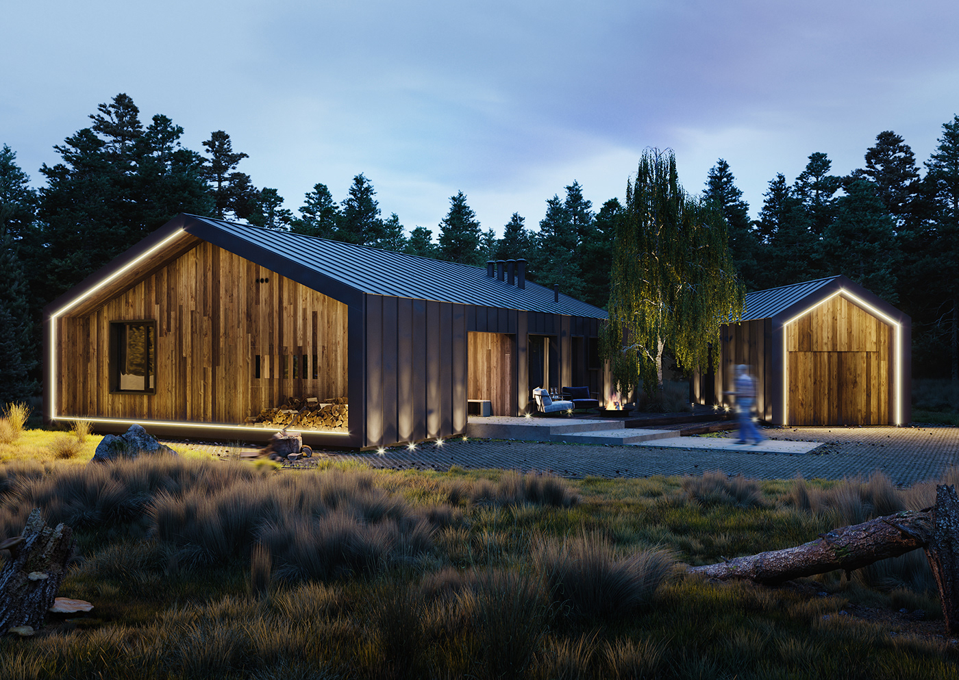 exterior Nature forest 3D architecture CG visulisation coronarenderer house