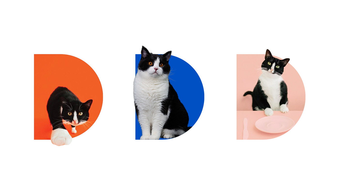 blue branding  Cat dog logo Love motion orange Packaging Pet