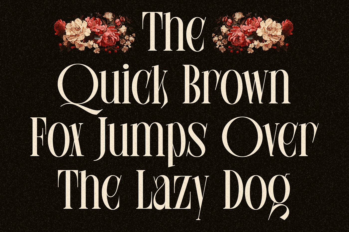 font fonts Typeface type design serif display font typeface design Serif Font elegant font design
