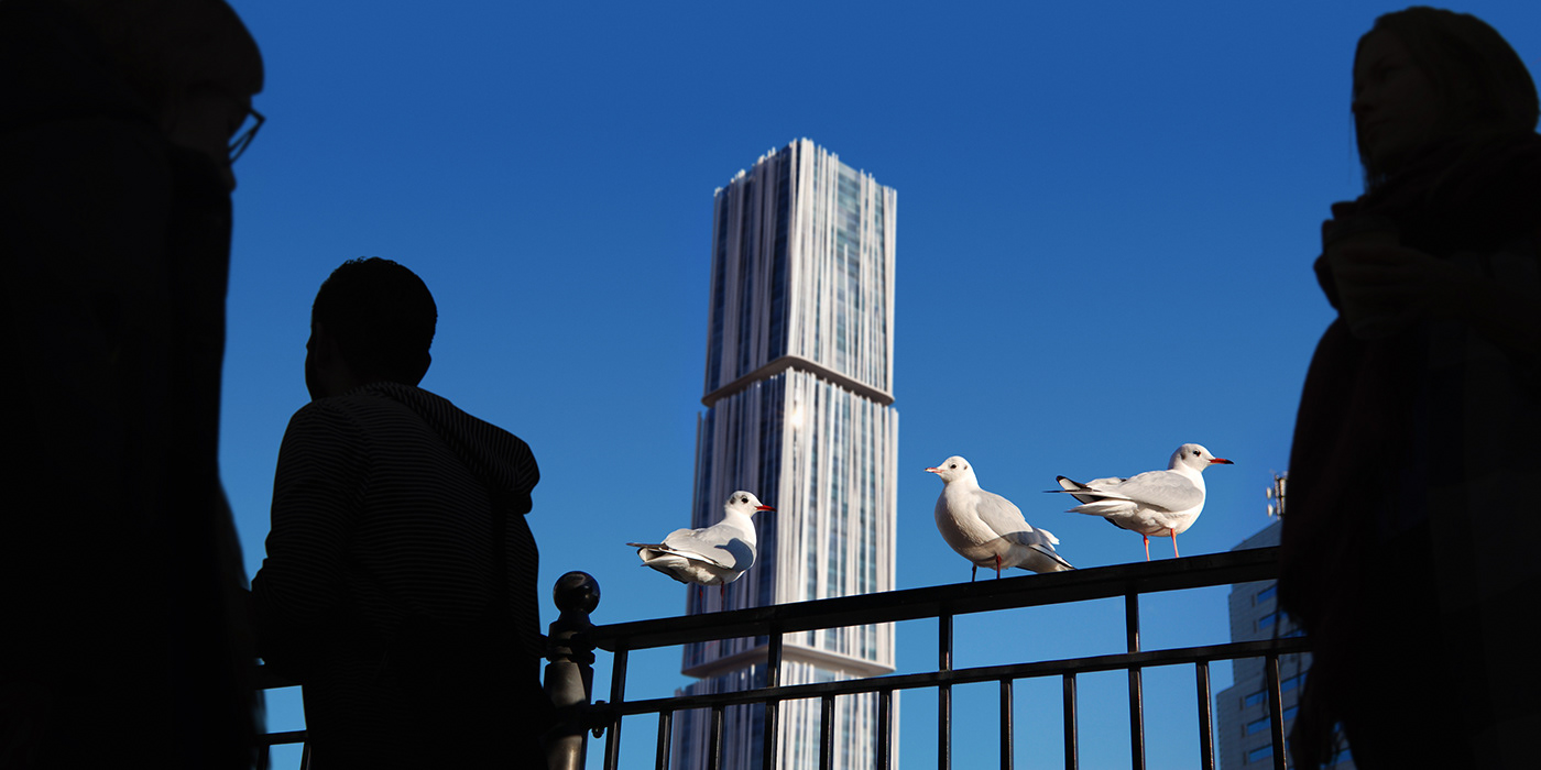 archconcept art CGI concept newyork realestate rendering seagulls SKY skyscraper
