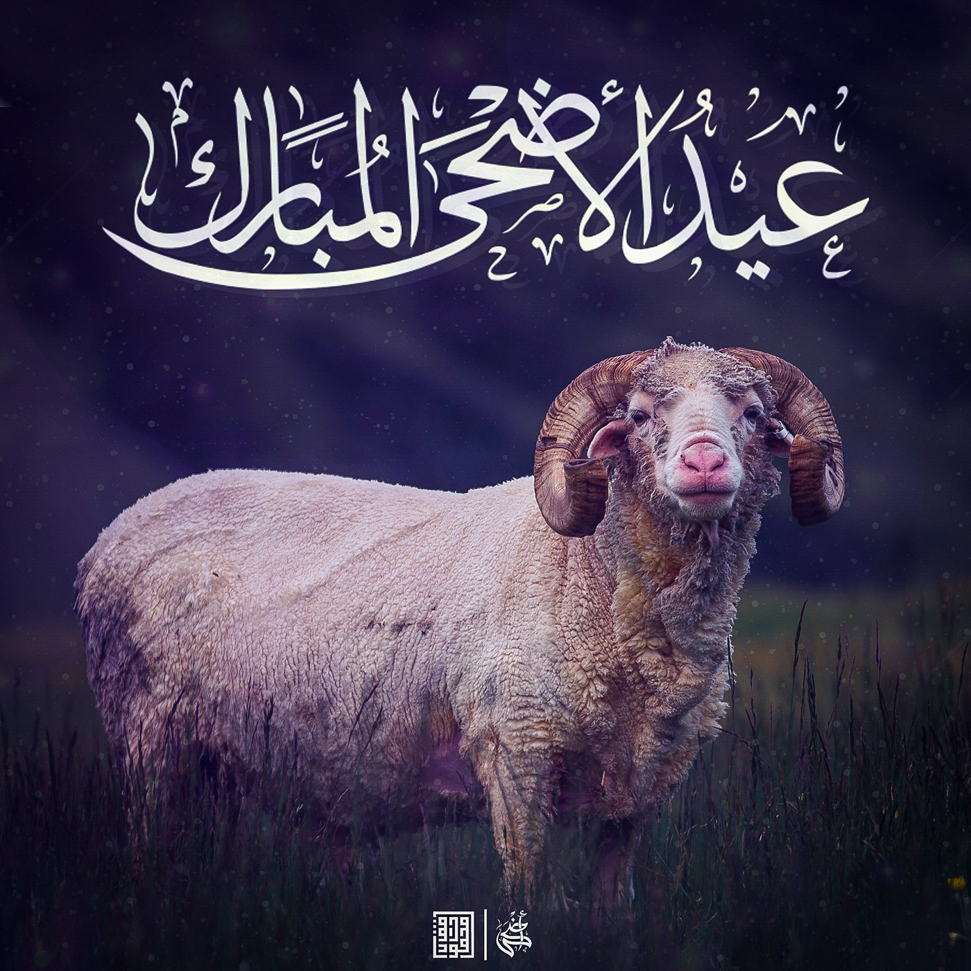 adha Eid eid mubarak el adha Mubarak عيد عيد الاضحي عيد سعيد  عيد مبارك مبارك