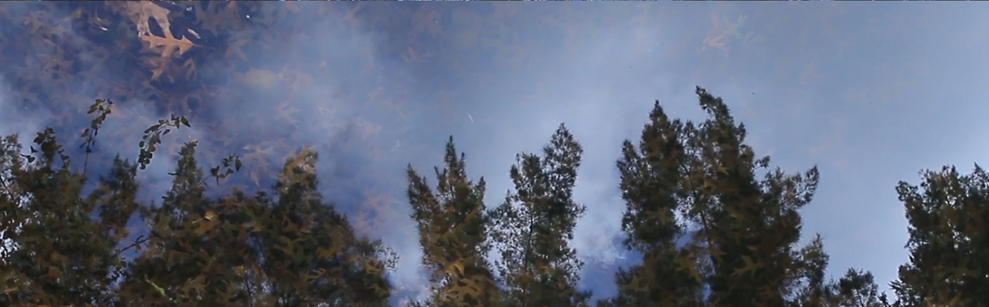 aesthetic camera cortometraje Daydream dreamy indie Nature Photography  shortfilm indiefilm