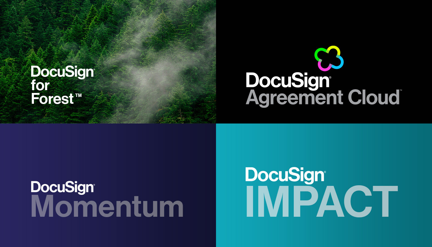 DocuSign branding  logo digital ux UI Website graphic design  presentation corporate