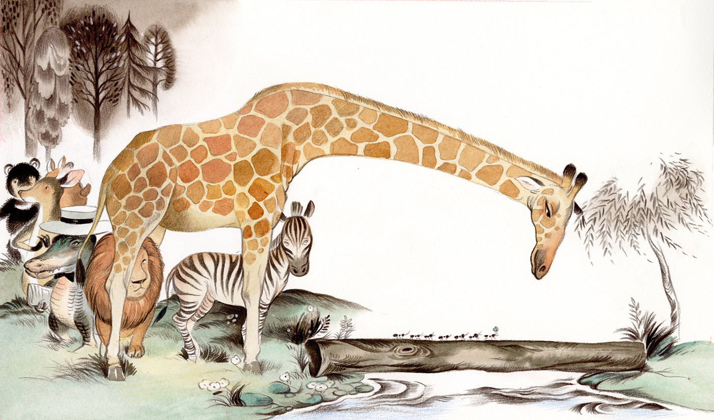 ILLUSTRATION  publishing   animals childrensbook watercolor picturebooks