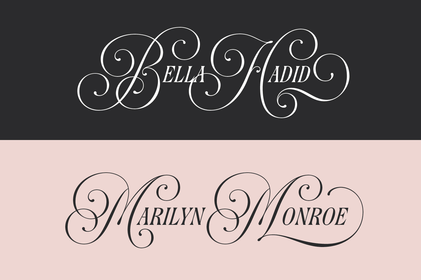 Beautiful decorative elegant font hybrid font Logotype Script serif twirls Typeface
