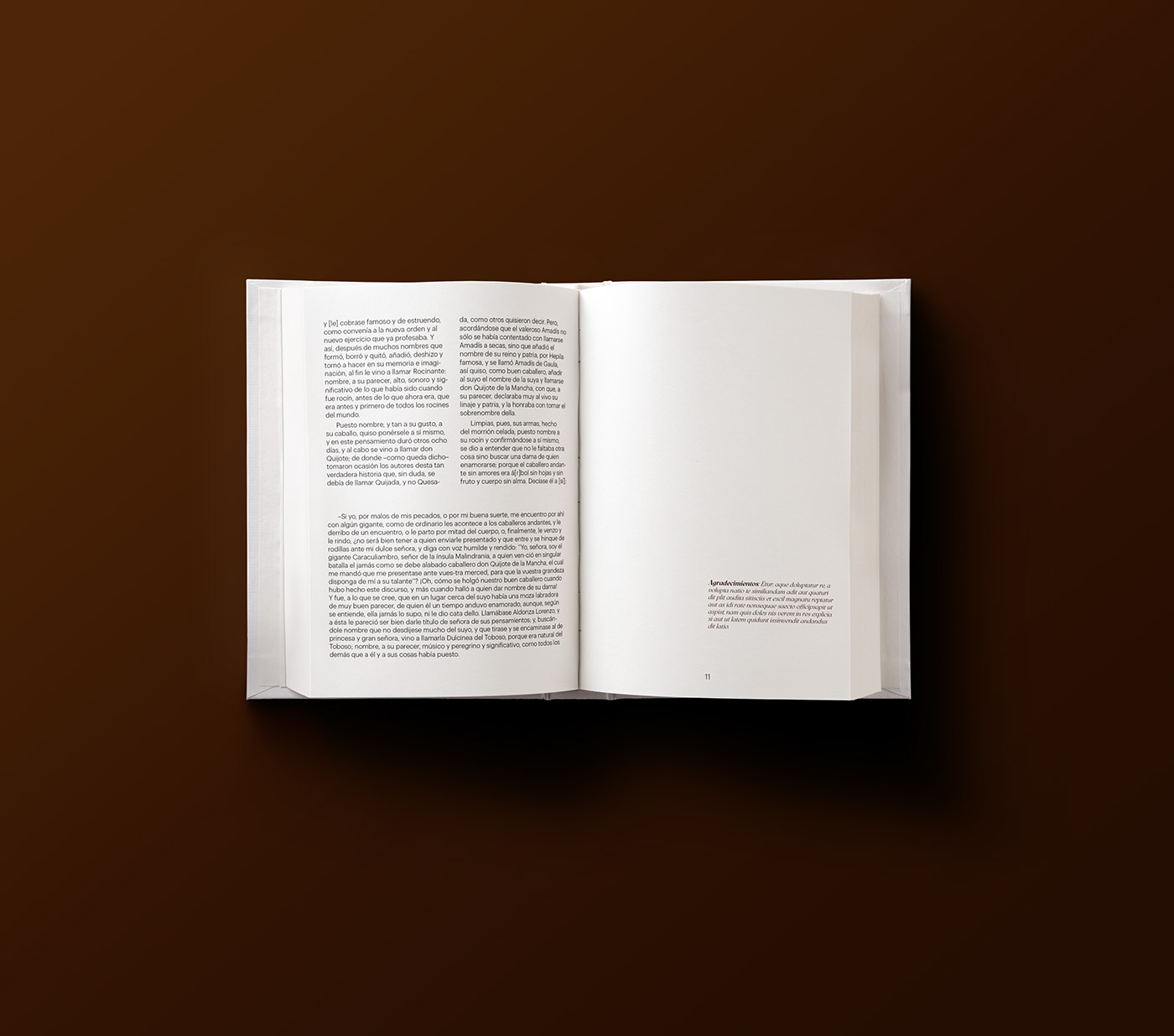 book book cover design editorial InDesign print visual identity