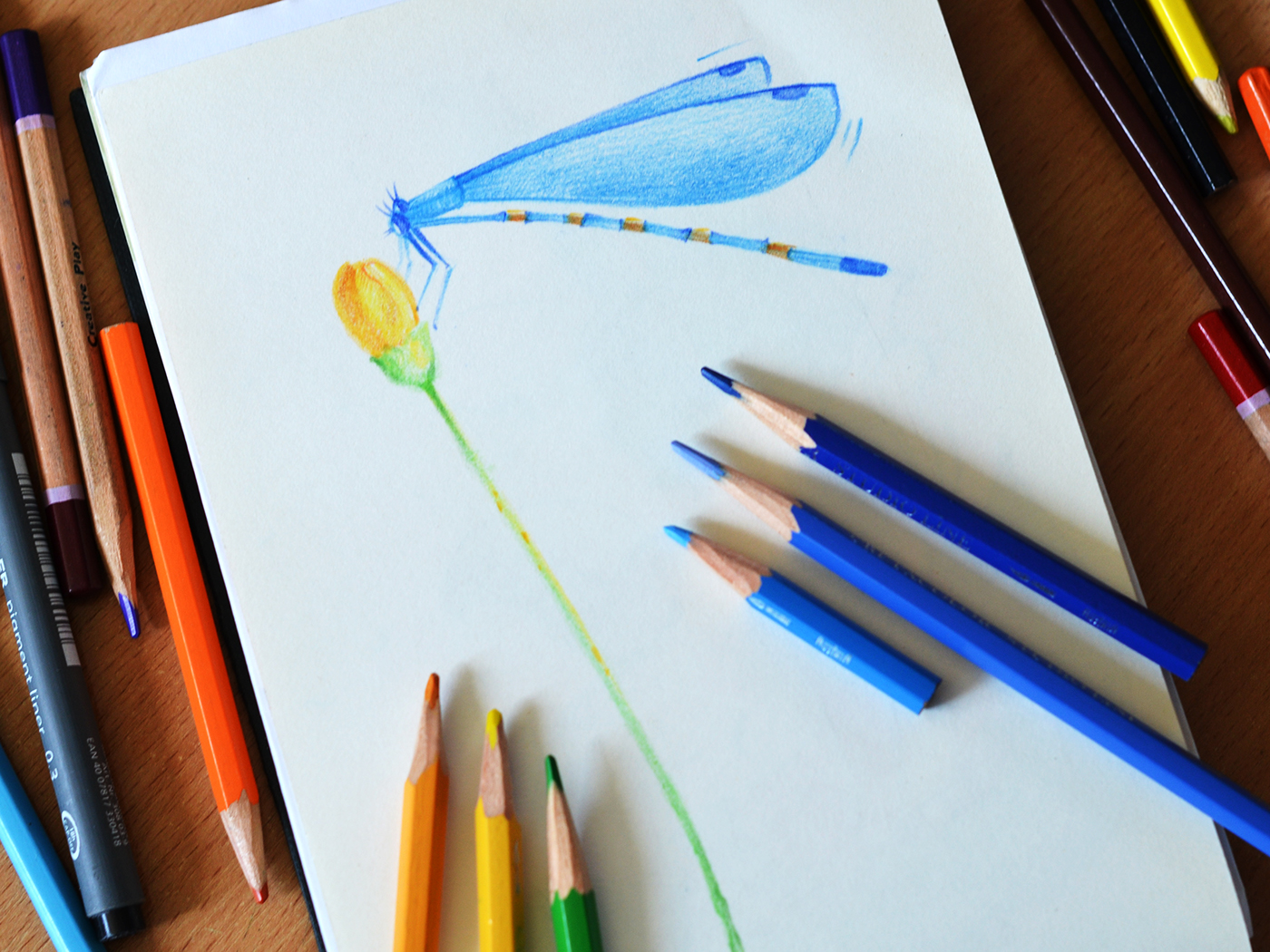 ILLUSTRATION  art Drawing  fish sketch dragonfly balloon airballoon monster dream