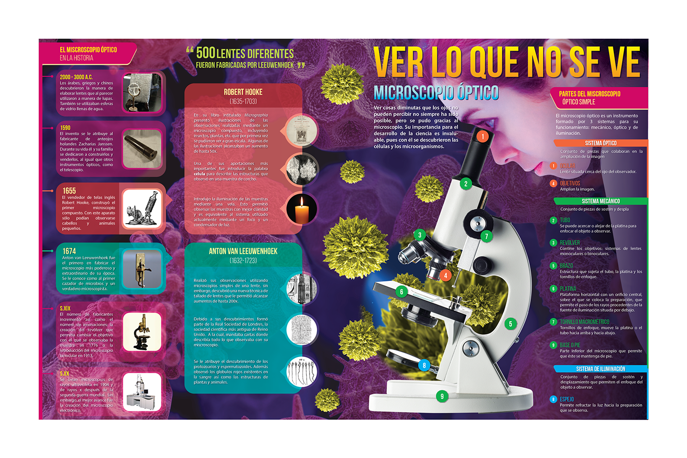 infographics biology microscope textbook