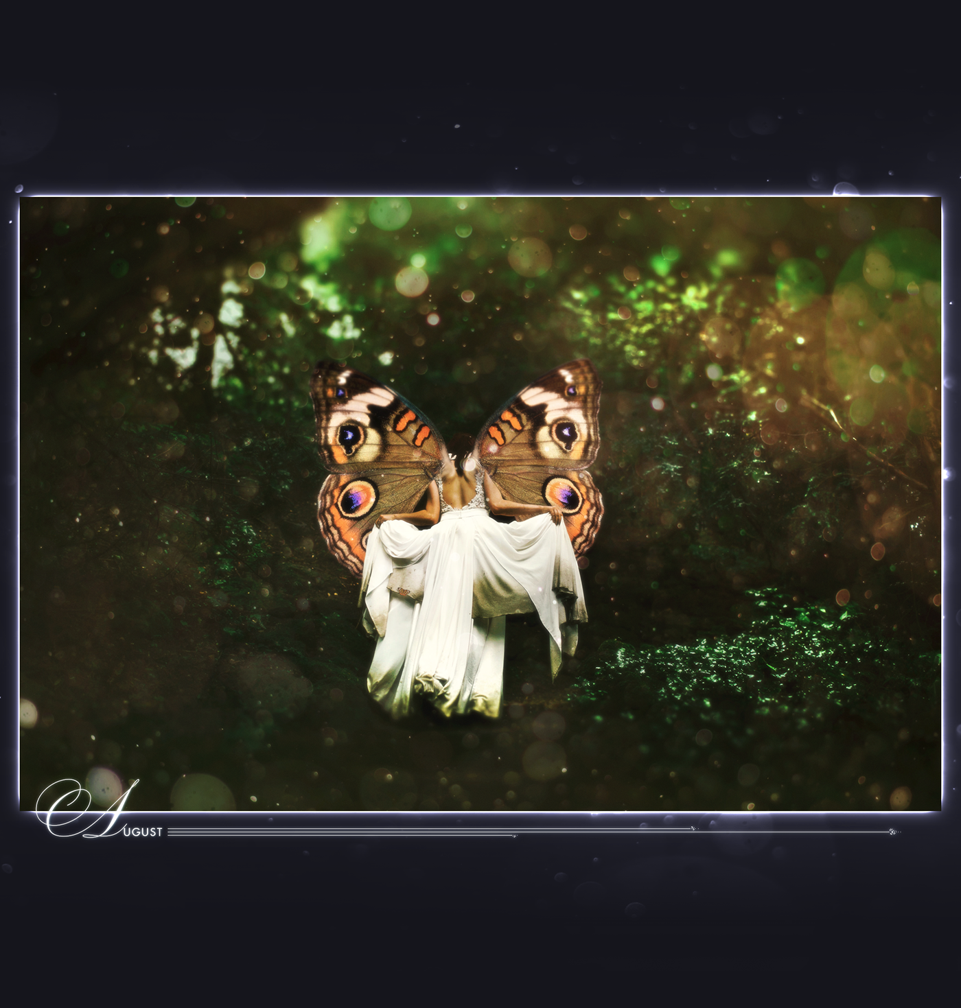 Digital Art  fairy Fairies mythical photomanipulations fantasy butterflies butterfly