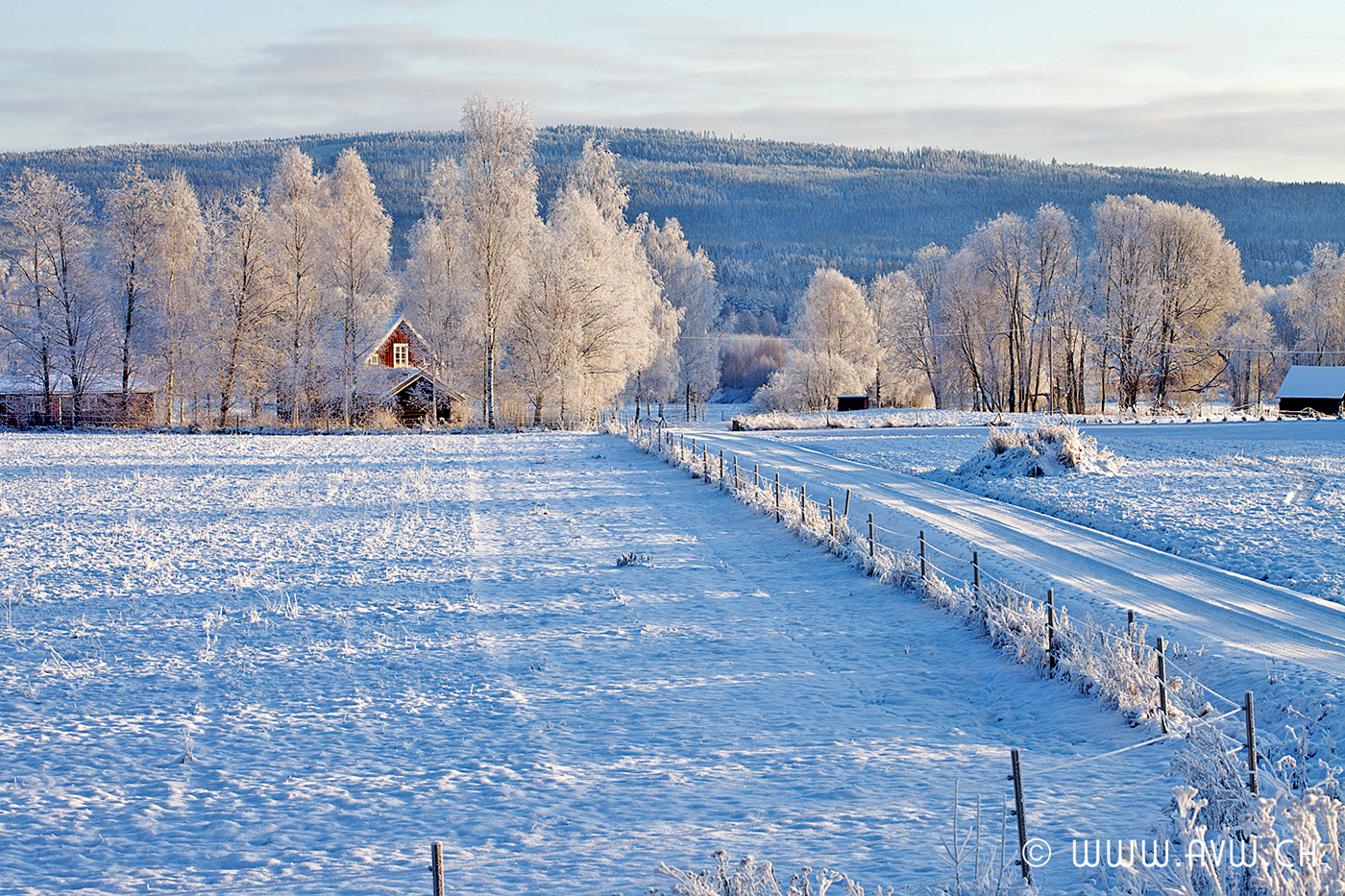 Travel photo REISEN värmland schweden Nature Landscape natur Landschaft winter