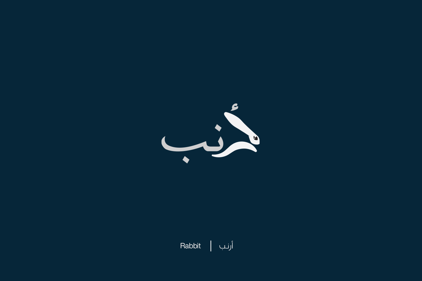 arabic animals objects logo typography   Calligraphy   lettering
