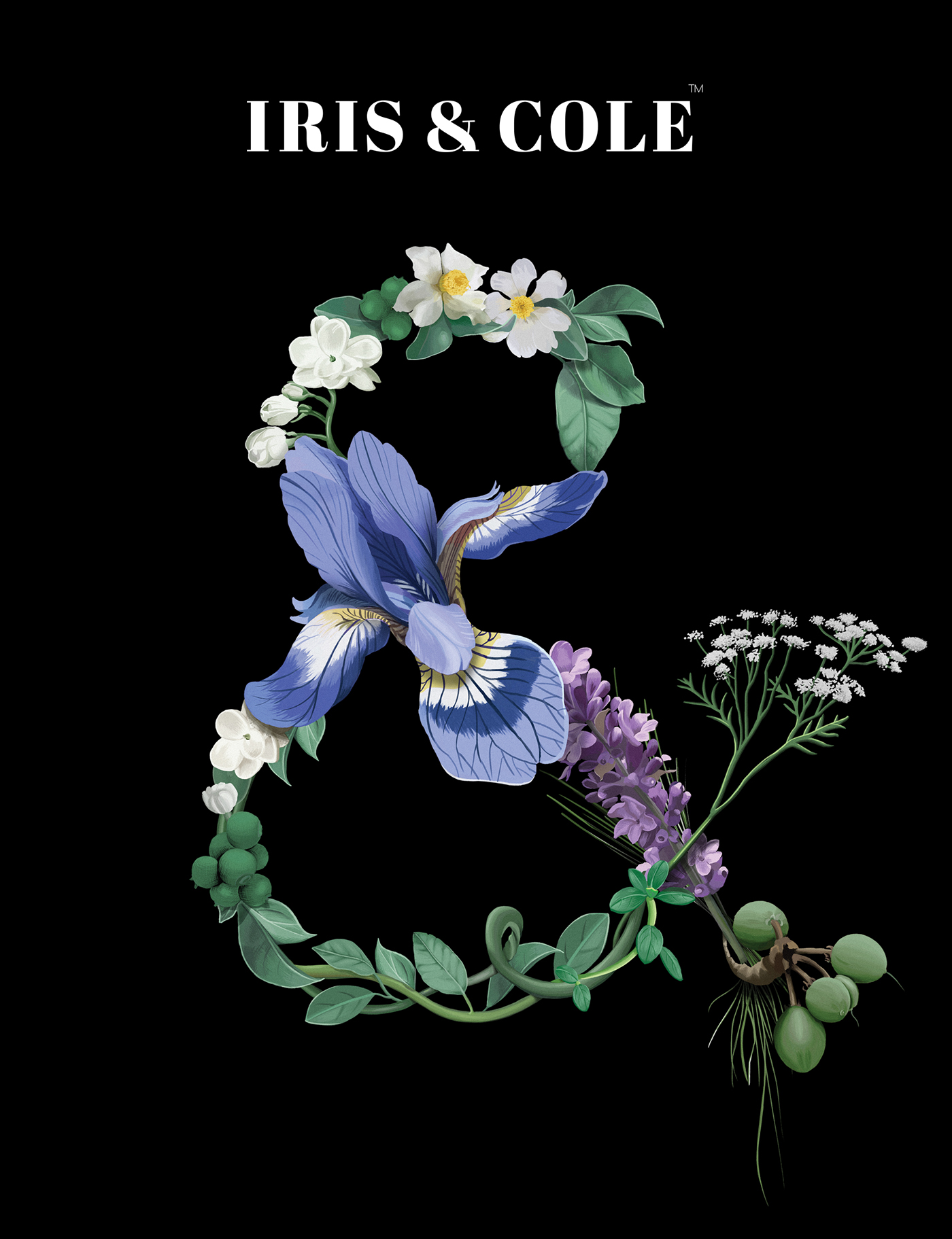 skincare branding  ampersand natural Plant ILLUSTRATION  identity iris luxury Cosmetic